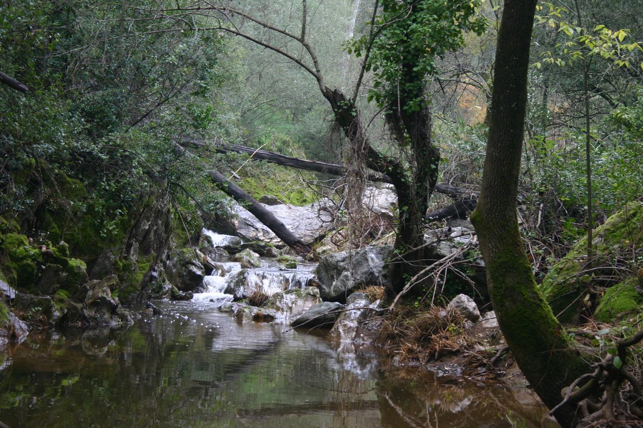 Camping La Brena Hotel Almodóvar del Río Esterno foto